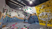 Load image into Gallery viewer, Custom Built Climbing Walls