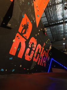 Custom Built Home Climbing Walls