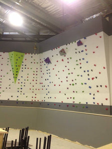 Custom Built Home Climbing Walls