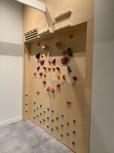 Load image into Gallery viewer, Custom Built Climbing Walls