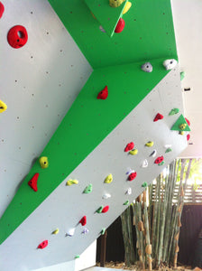 Custom Built Home Climbing Walls